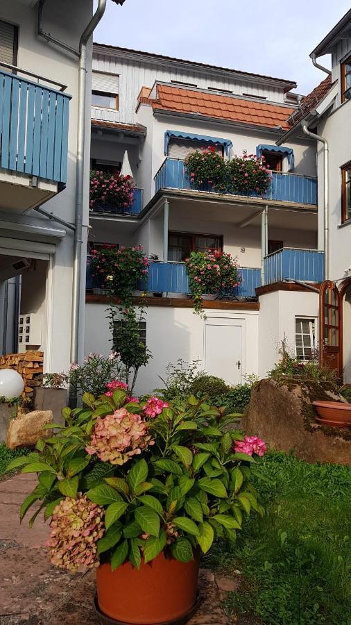 Hotel Wappenstube Erbach  Exteriér fotografie