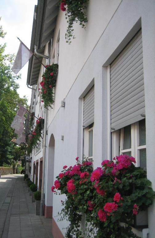 Hotel Wappenstube Erbach  Exteriér fotografie
